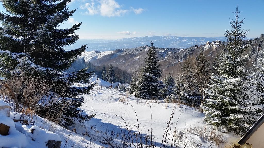 Holiday Home Relax Kopaonik Rum bild